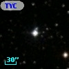 TYC 1311-338-1