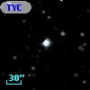 TYC 1311-597-1