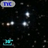 TYC 1311-1036-1