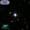 TYC 1311-1714-1