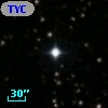 TYC 1311-1818-1