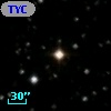 TYC 1311-1831-1