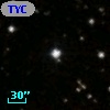 TYC 1311-3141-1
