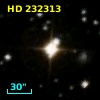 HD 232313