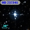 HD 232341