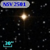 NSV  2501