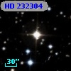 HD 232304