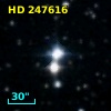 HD 247616