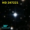 HD 247221
