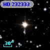 HD 232333