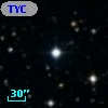 TYC 1303-161-1