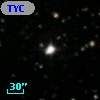 TYC 1303-317-1