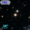TYC 1303-448-1