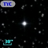 TYC 1303-1491-1