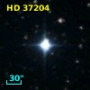 HD  37204