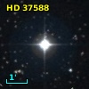 NLTT 15445