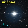 HD  37603