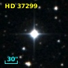 HD  37299