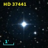 HD  37441