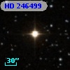 HD 246499