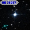 HD  38067