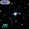 TYC 1299-981-1