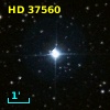 HD  37560