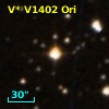 V* V1402 Ori