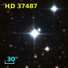 HD  37487