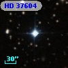 HD  37604