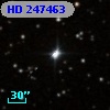 HD 247463