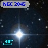 NGC  2045