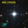HD  37620