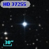 HD  37255