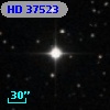 HD  37523