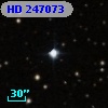 HD 247073