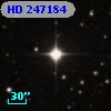 HD 247184