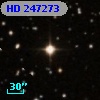 HD 247273