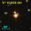 V* V1816 Ori