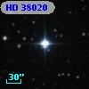 HD  38020