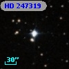 HD 247319
