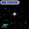 HD 247828