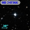 HD 247366