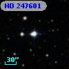 HD 247601