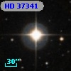 HD  37341