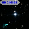 HD 246803