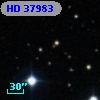 HD  37983