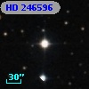 HD 246596