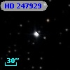 HD 247929