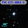 TYC  127-1081-1